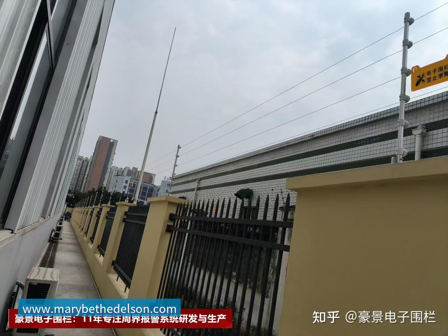 詹姆斯分享人生智慧：面对批评勇往直前才能成就卓越与自我价值